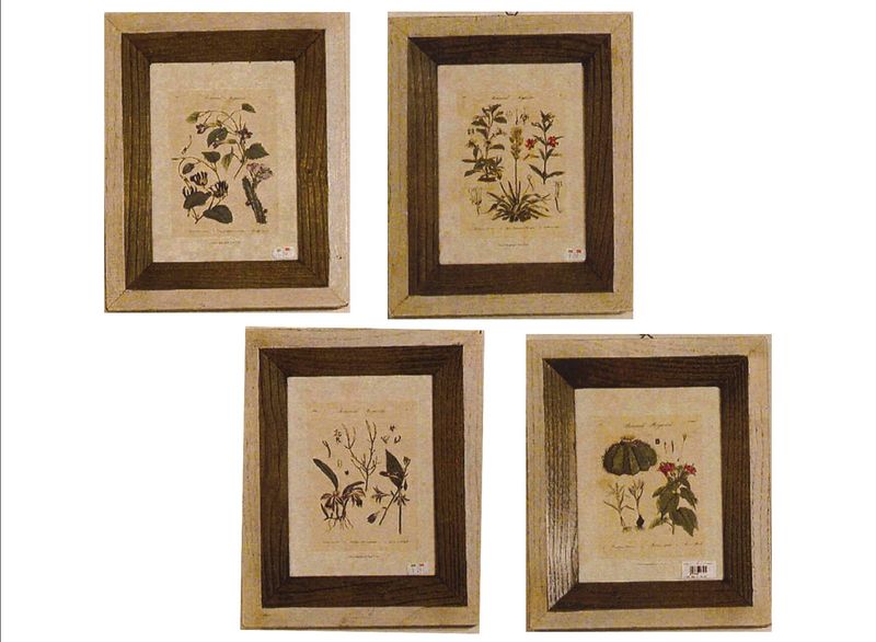 BOTANICHE SET DI QUATTRO PEZZI ( S000I29) BOTANICHE SET DI QUATTRO PEZZI ( S000I29)
