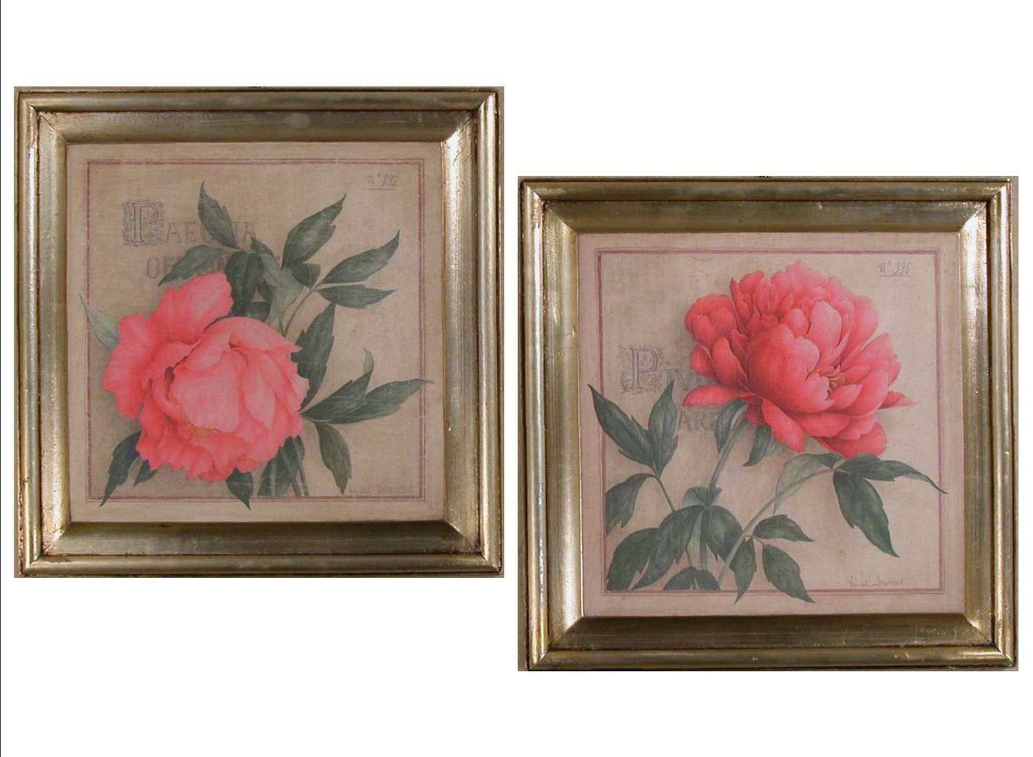 ROSE SET DI DUE PEZZI ( S000KJ6 ) ROSE SET DI DUE PEZZI ( S000KJ6 )