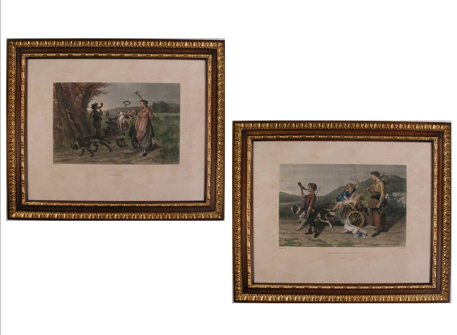 scene campestri ( S000C17 ) scene campestri ( S000C17 )