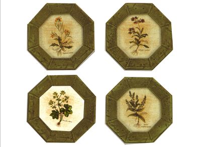 BOTANICHE ( S000313 ) BOTANICHE ( S000313 )