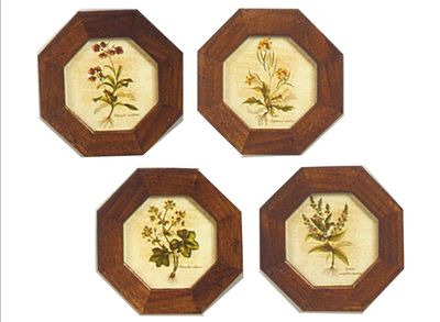 BOTANICHE ( S000316 ) BOTANICHE ( S000316 )