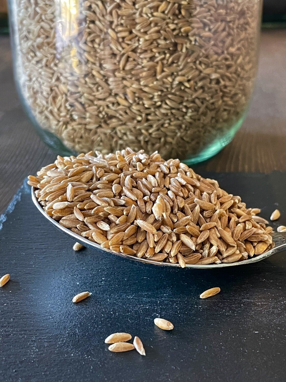 Farro primaverile biologico