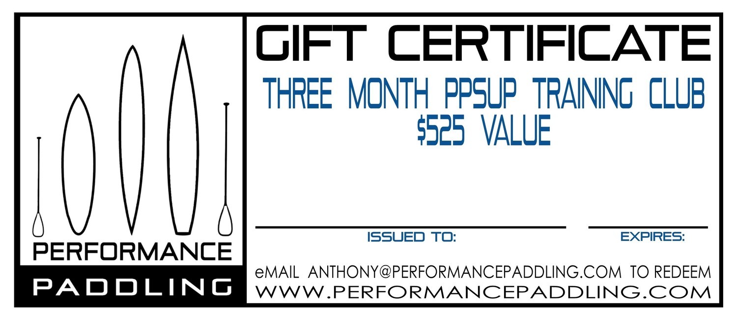 Gift Certificate - 3 months Training Club