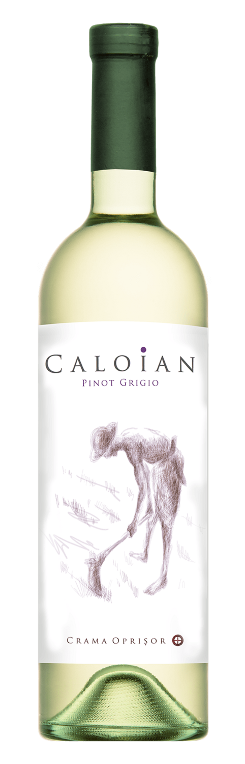 Caloian Pinot Grigio 0,75l