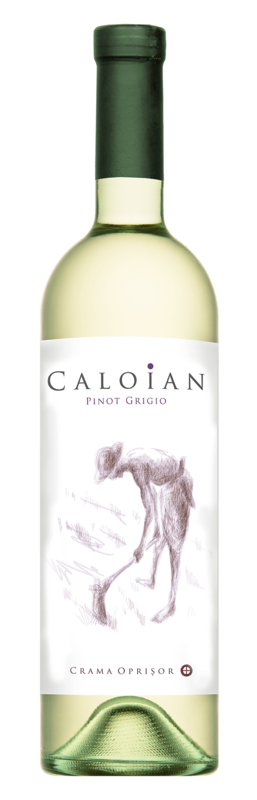 Caloian Pinot Grigio  0,75l