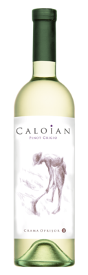 Caloian Pinot Grigio 0,75l