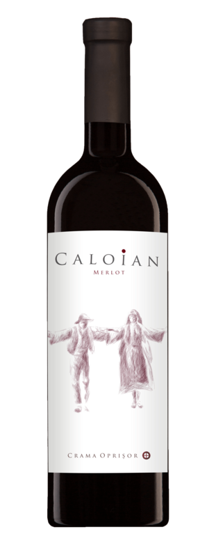 Caloian Merlot 0,75l