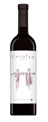 Caloian Merlot 0,75l