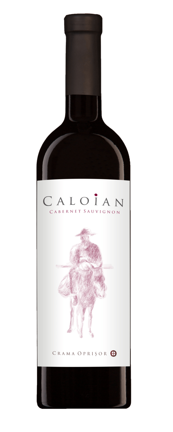 Caloian Cabernet Sauvignon 0,75l