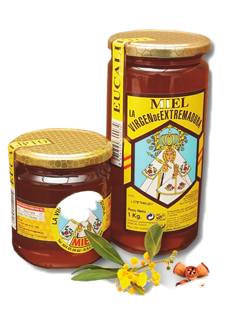 Miel de Eucalipto. Tarro de  KILO