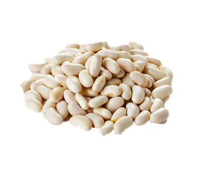 Alubias frescas canellini. bolsa 500 gr