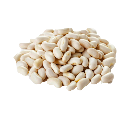 Alubias frescas canellini. bolsa 500 gr