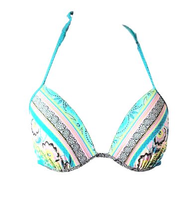 Women's Triangle Bikini Top Floral Print Swimsuit Bathing Suit