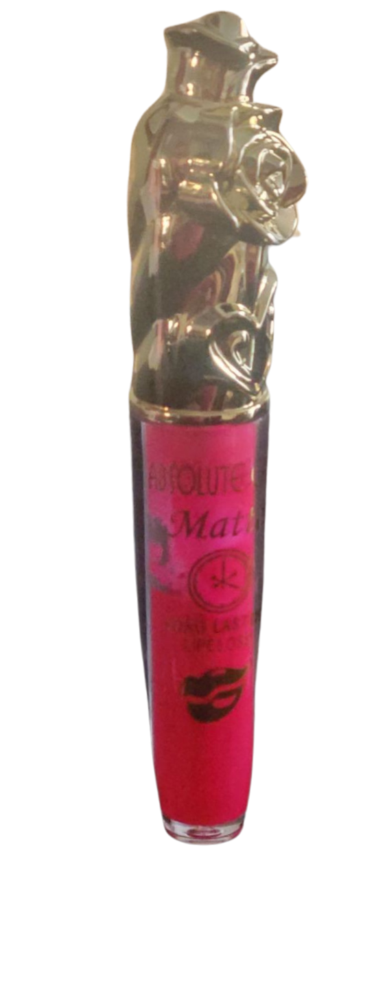 Pink 1 Pcs Matte Absolute Care Liquid Lipstick/Lipgloss Makeup Set Kit, Long Lasting Waterproof Velvet Lip Gloss, Pigmented Lip Makeup Gift for Girls and Women