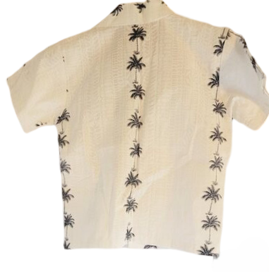 Big Boys Hawaiian Shirt Flamingos Button Down Shirt Short Sleeve Luau Shirt for Kids D