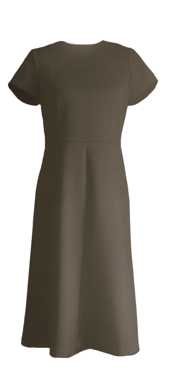 ANN TAYLOR Petite Women's Short Sleeved Princess Seamed Sheath Dress