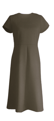 ANN TAYLOR Petite Women's Short Sleeved Princess Seamed Sheath Dress