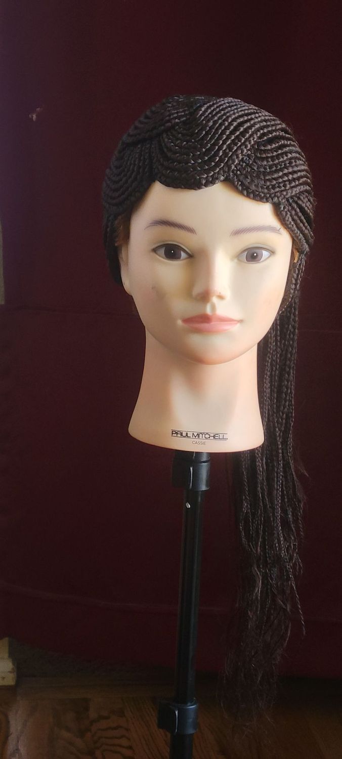 Box Braided Wigs for Black Women no lace Box Braids Wigs with Synthetic Black Cornrow Fully Handmade Braided Wig