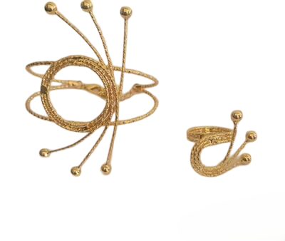 Owanbe Women's Gold Nigerian Wedding African Costume Jewelry Set Dubai Fashion Charm Necklace Jewelry Sets For Women Party