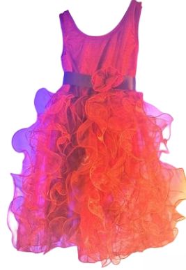 Baby Girls princess cocktail Flower Dress Embroidery Pageant Party Wedding Lace Dresses