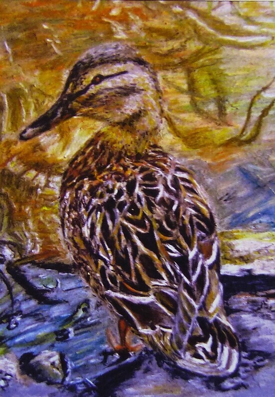 Mummy Duck - fine art nature print