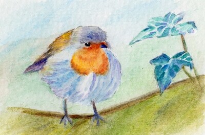 Robin &amp; ivy - fine art nature print