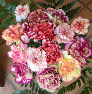 Fresh Fancy Bouquet Fresh Fancy Bouquet