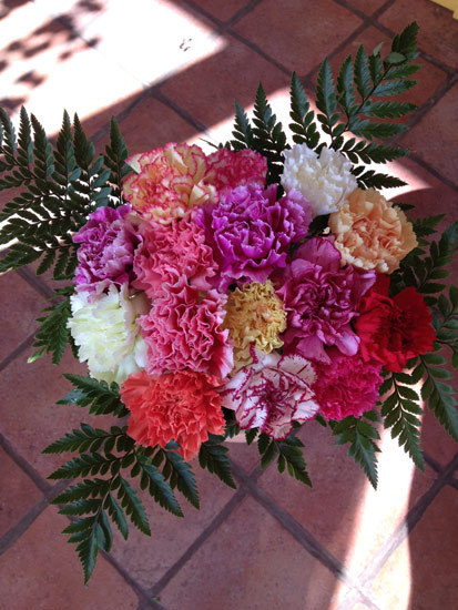 15 Mixed Carnations 15 Mixed Carnations