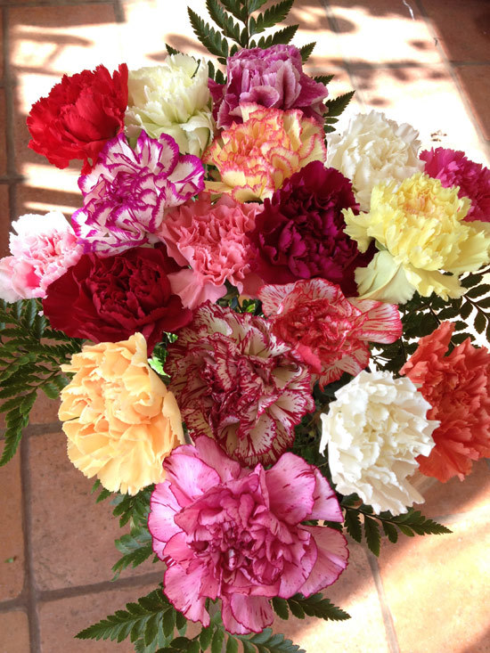 18 Mixed Carnations 18 Mixed Carnations