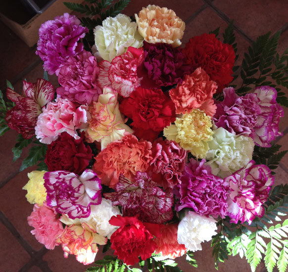 30 Mixed Carnations 30 Mixed Carnations