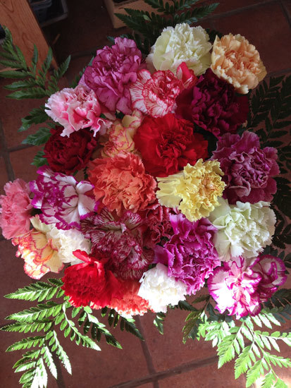 24 Mixed Carnations 24 Mixed Carnations
