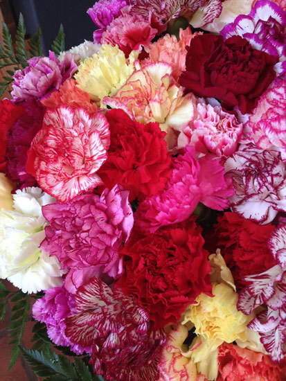 50 Mixed Carnations 50 Mixed Carnations