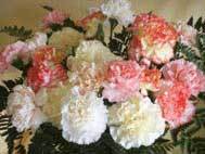 Pastel Bouquet Pastel Bouquet