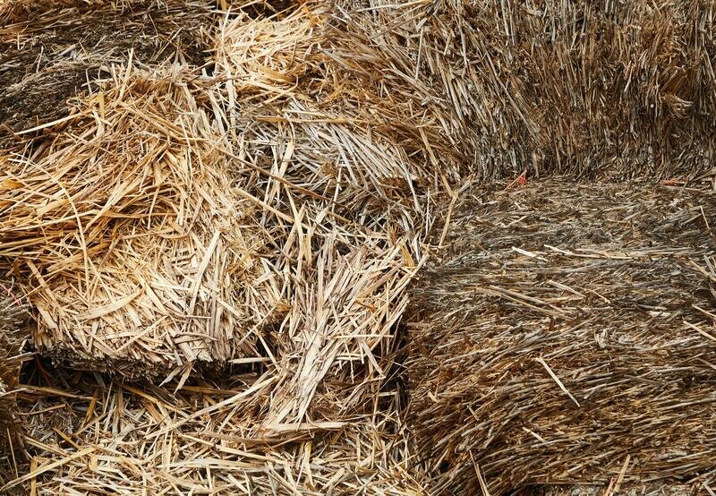 Atelier travaux de la ferme