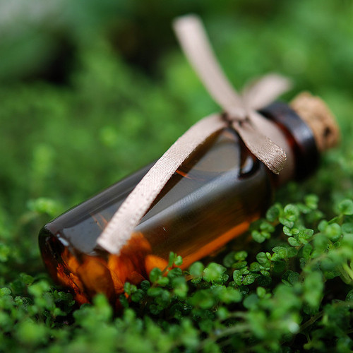 Lavender Oil