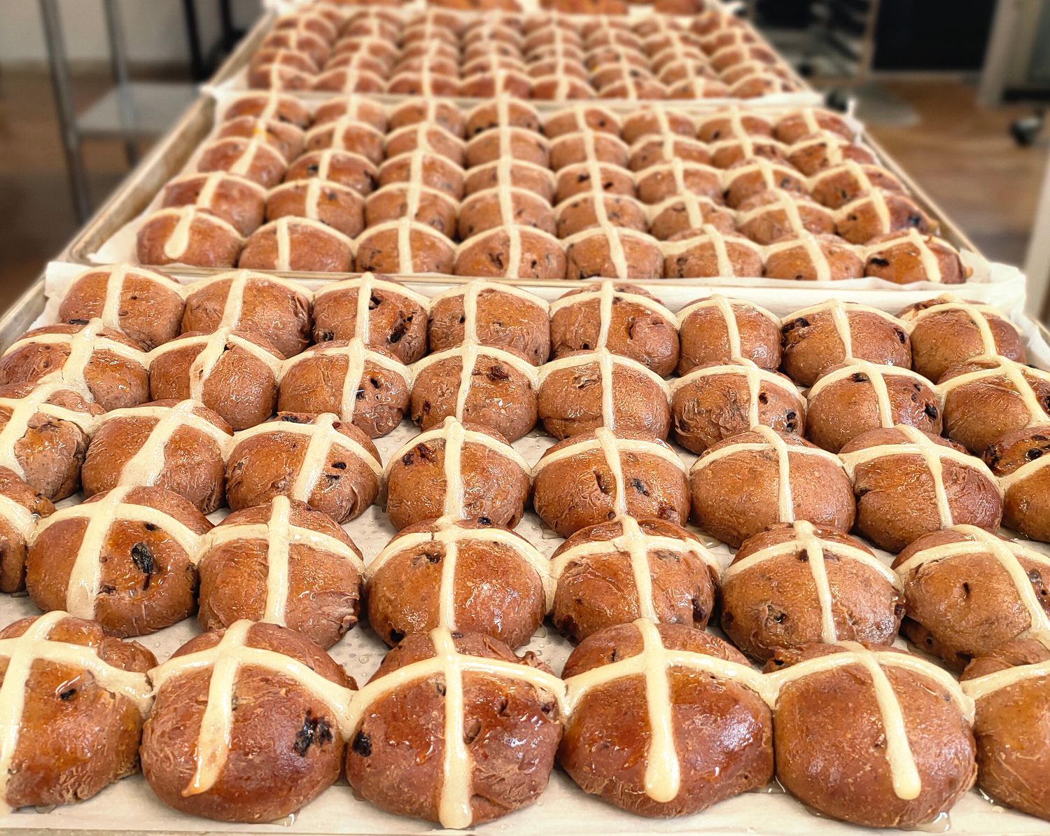 Hot Cross Buns | 6 Pack | Gluten-Free | Vegan | ​Organic