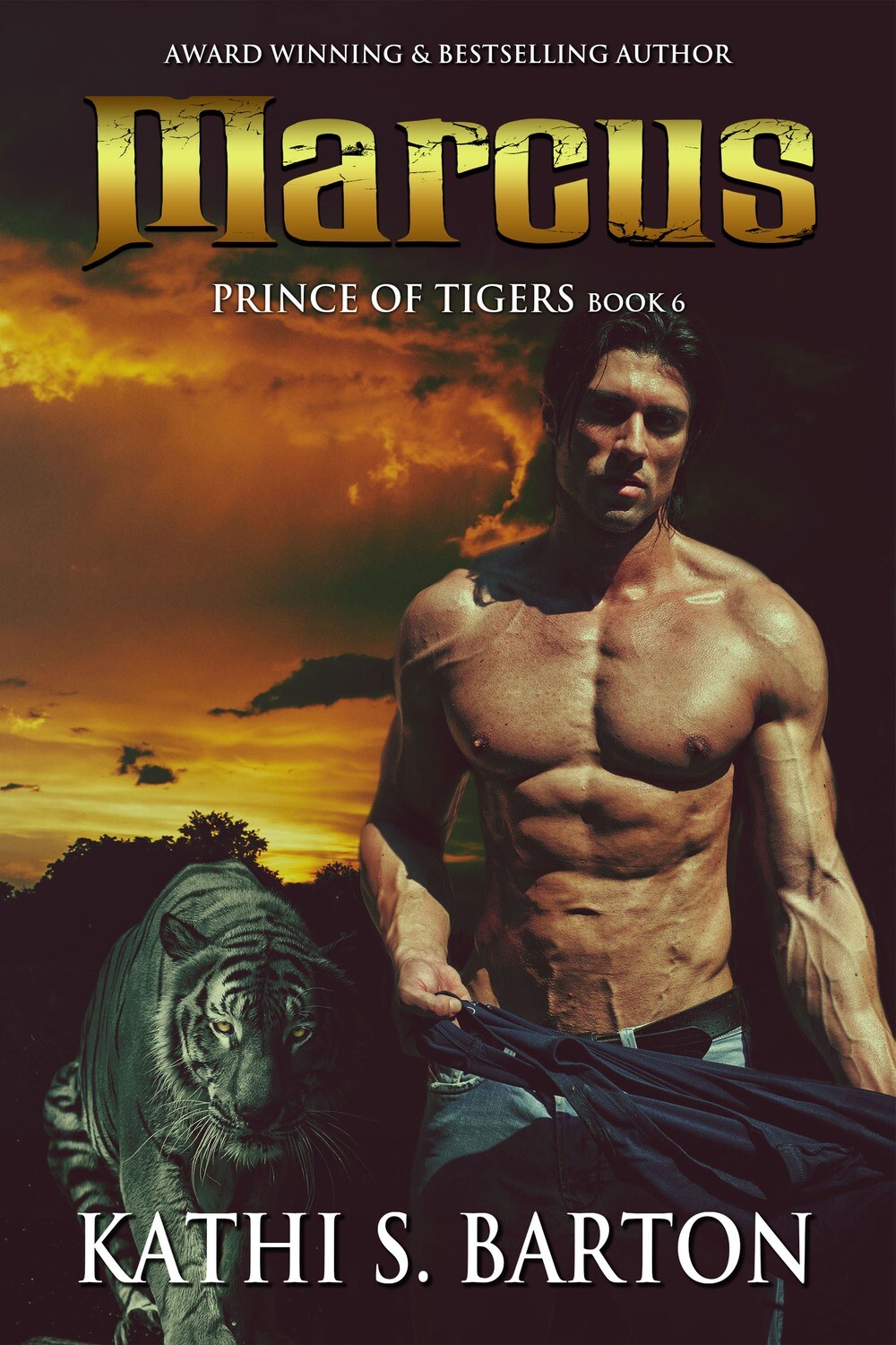 Marcus - Prince of Tigers Book 6 - eBook