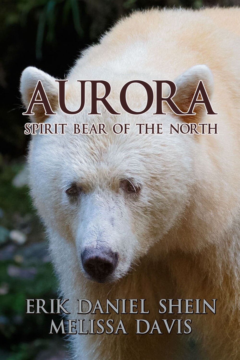 Aurora - Spirit Bear of the North - eBook