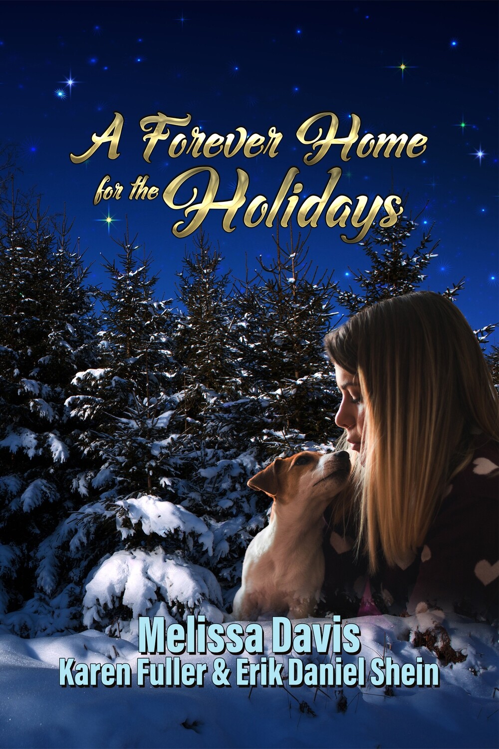 A Forever Home for the Holidays - eBook