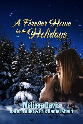 A Forever Home for the Holidays - eBook
