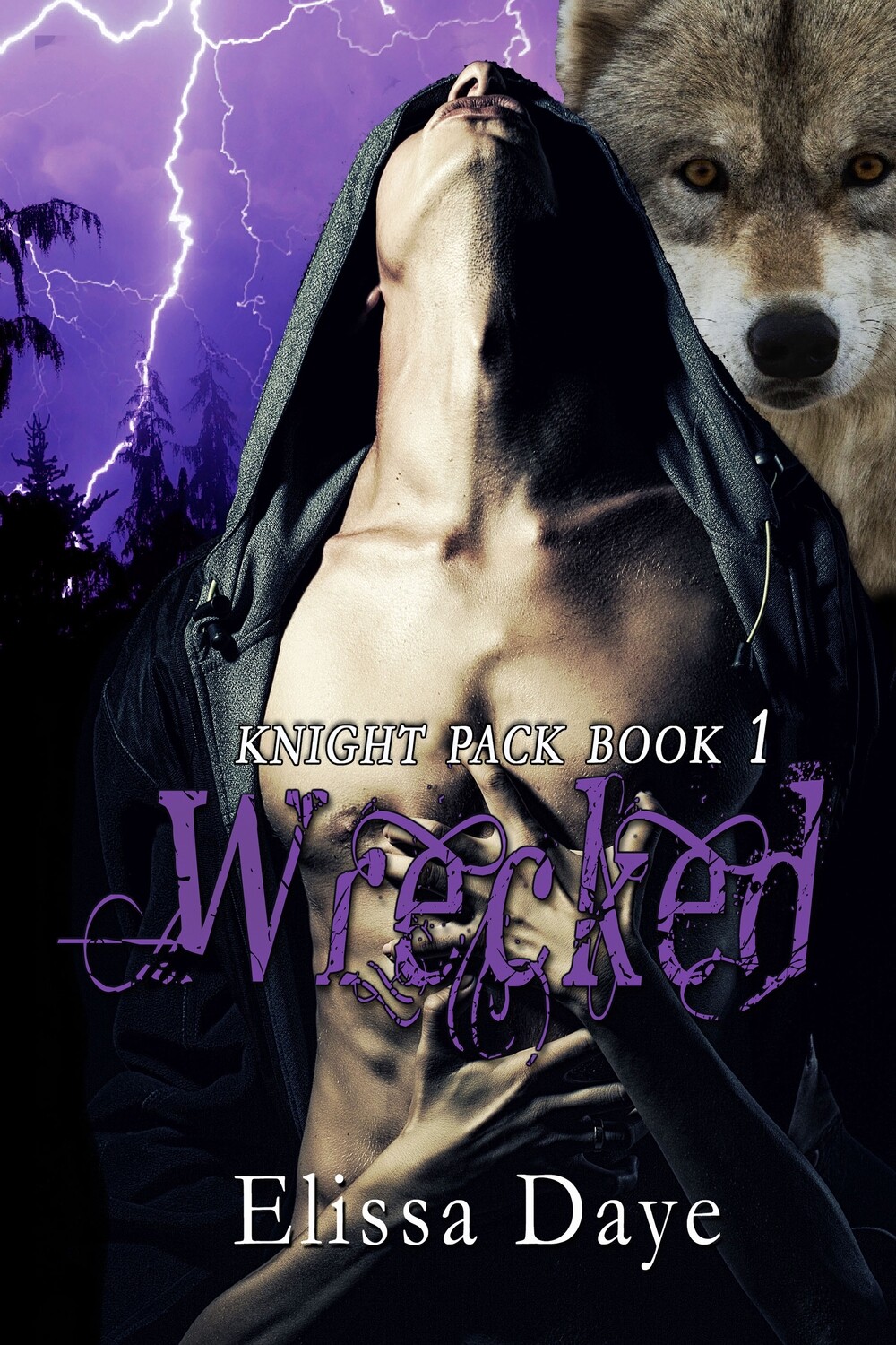Wrecked - Knight Pack Series Book 1 - eBook
