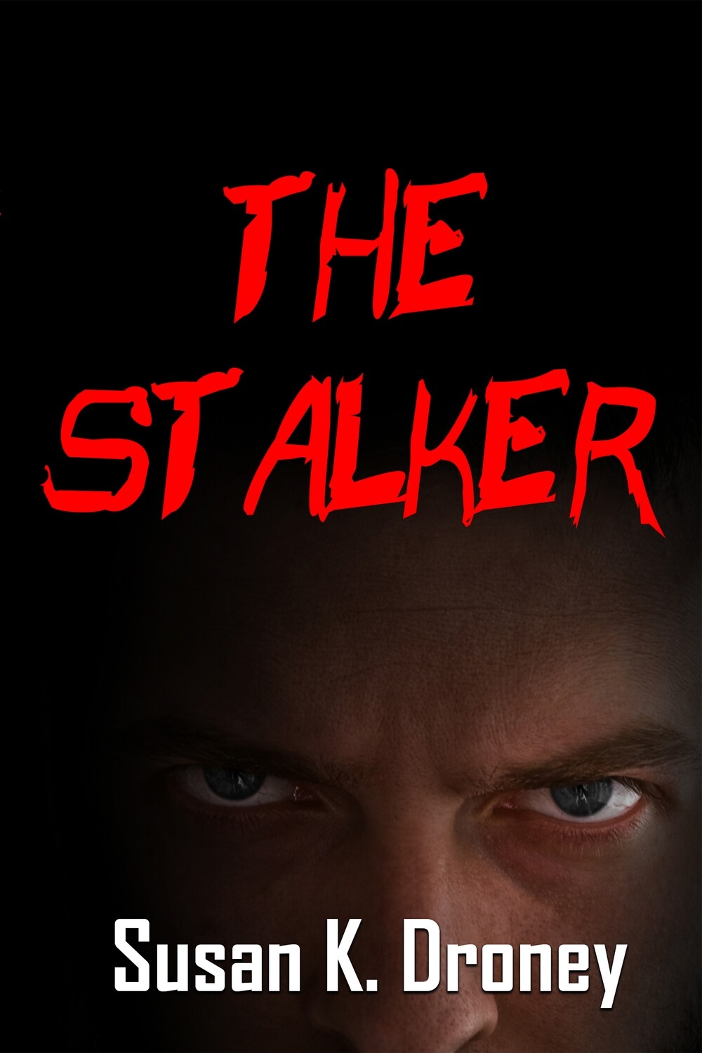 The Stalker - eBook