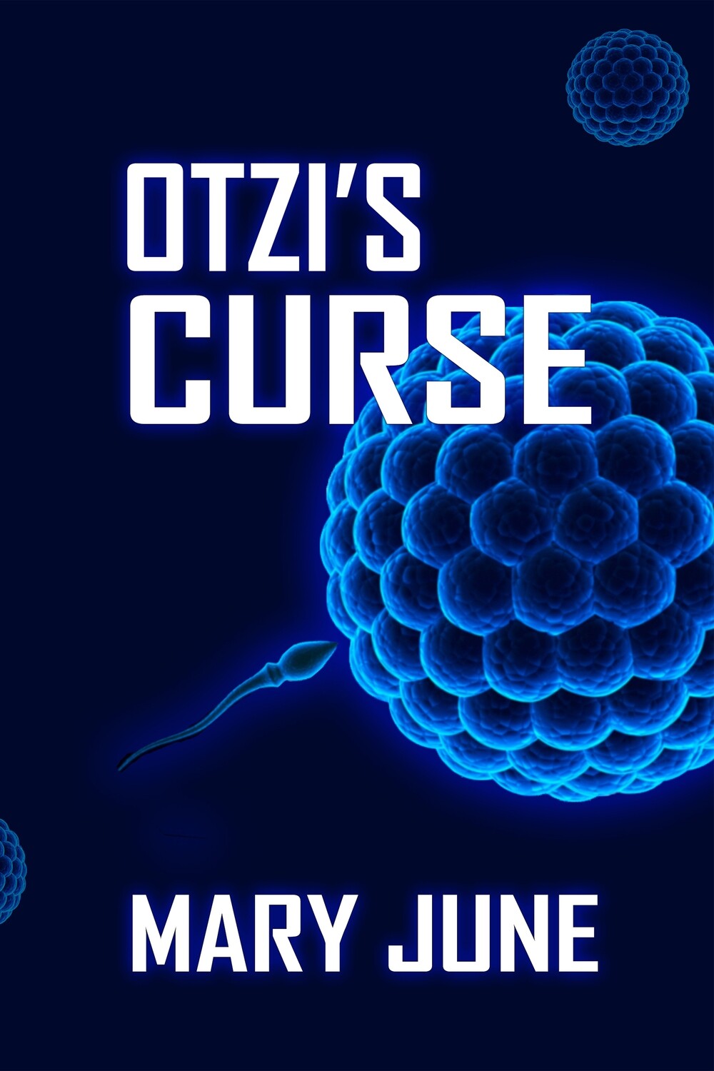 Otzi&#39;s Curse - eBook