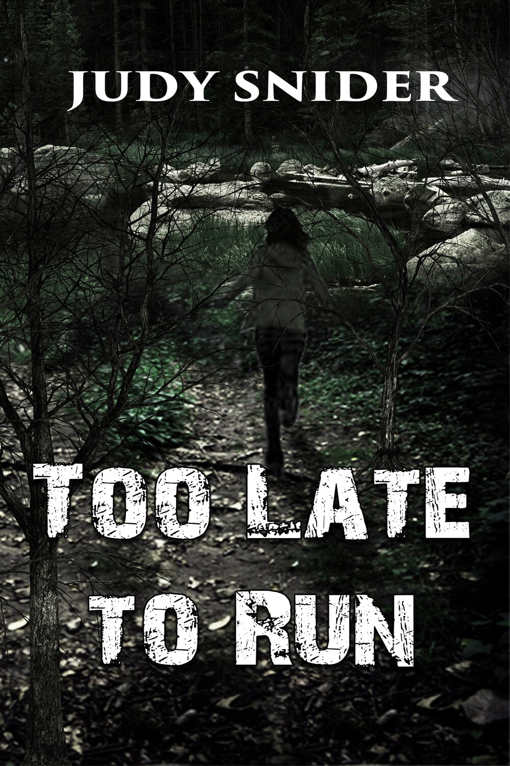 Too Late to Run - eBook