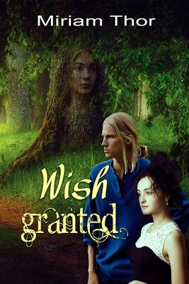 Wish Granted - eBook