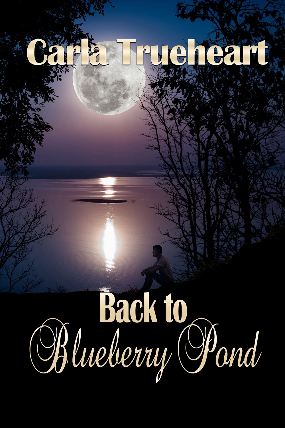 Back to Blueberry Pond- eBook