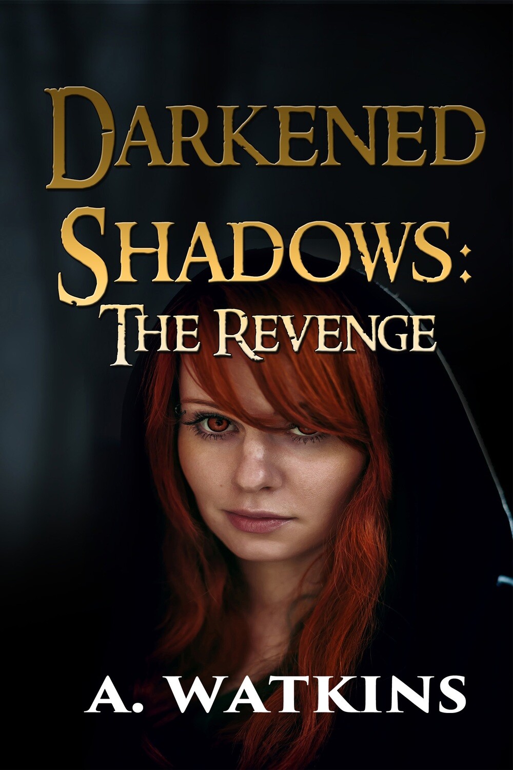 The Revenge - Darkened Shadows Book 2 - eBook