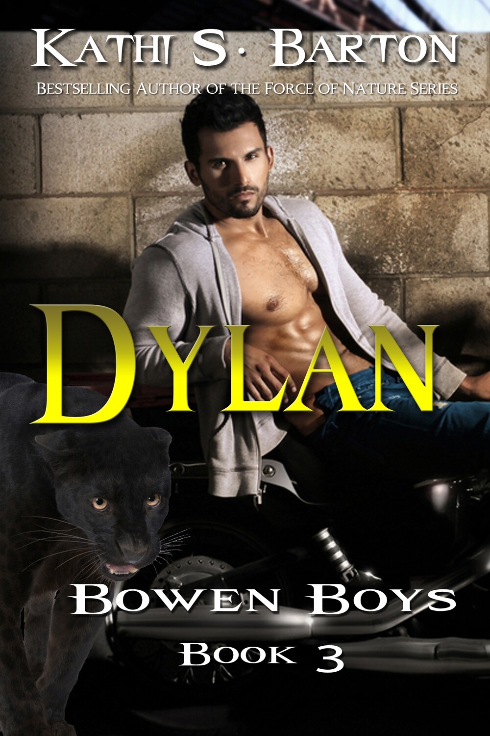 Dylan - Bowen Boys Book 3 - eBook