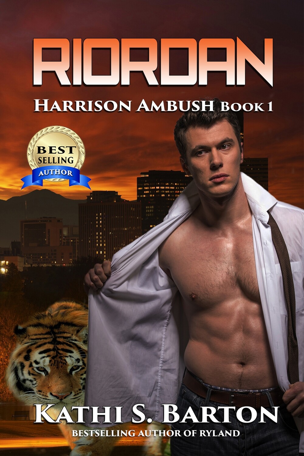 Riordan - Harrison Ambush Book 1 - eBook