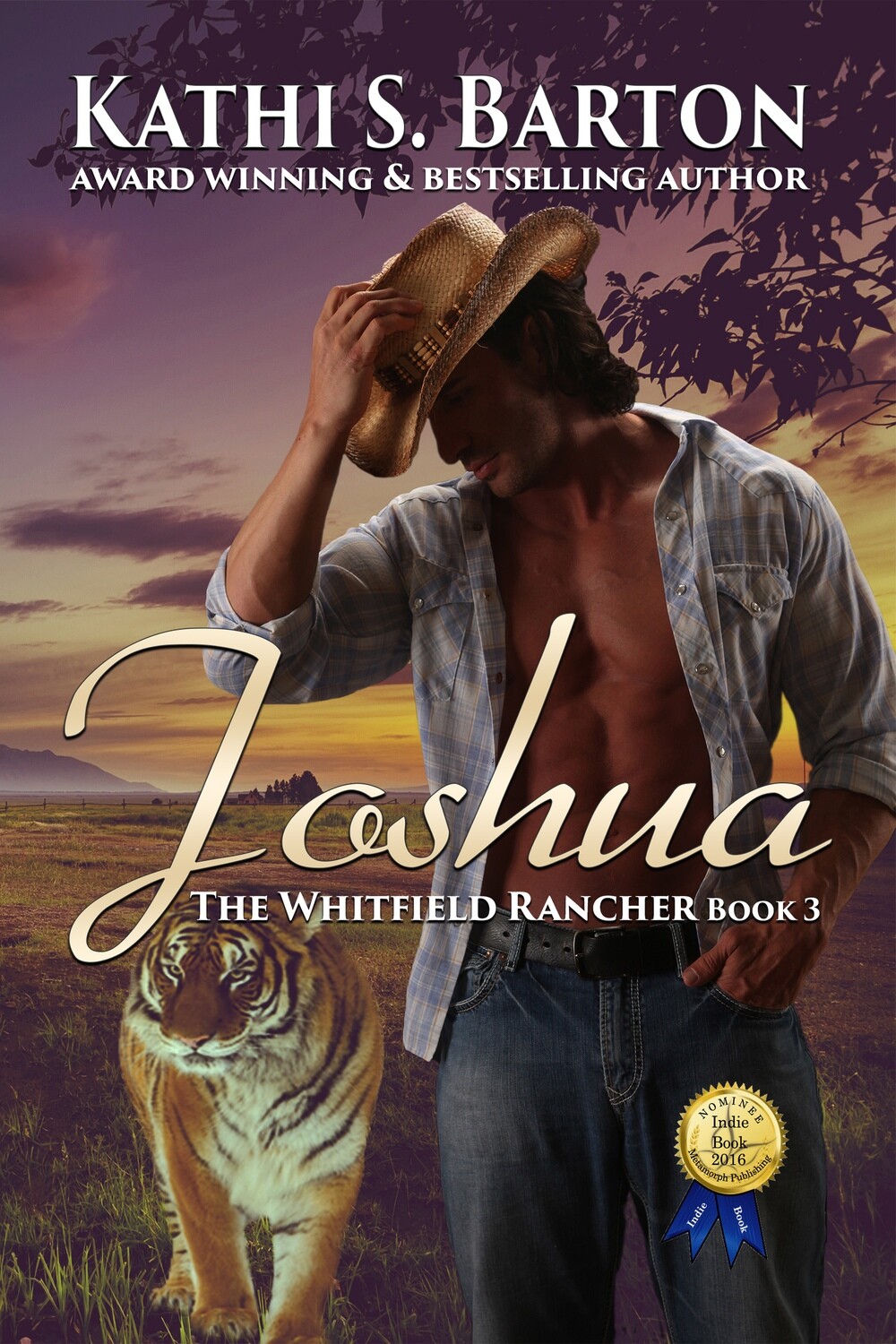 Joshua - The Whitfield Rancher Book 3 - eBook